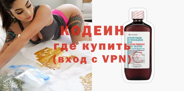 прущие грибы Апатиты