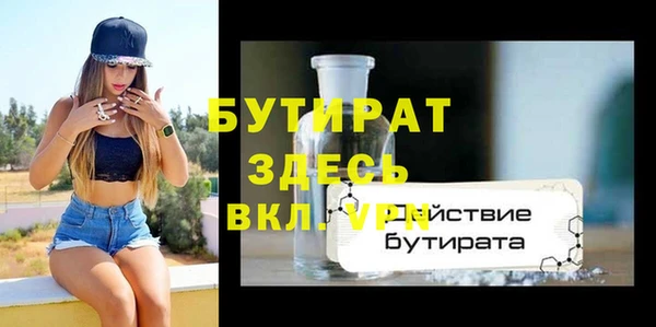 прущие грибы Апатиты