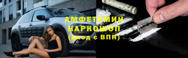 гашик Анива