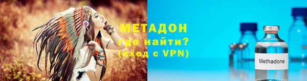 прущие грибы Апатиты
