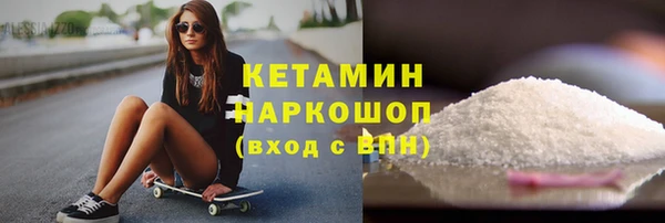 прущие грибы Апатиты