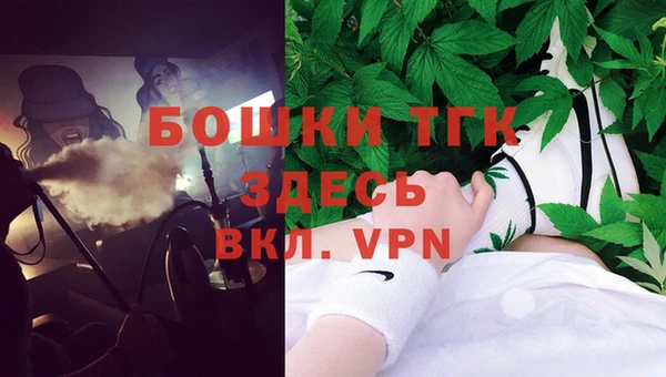 гашик Анива