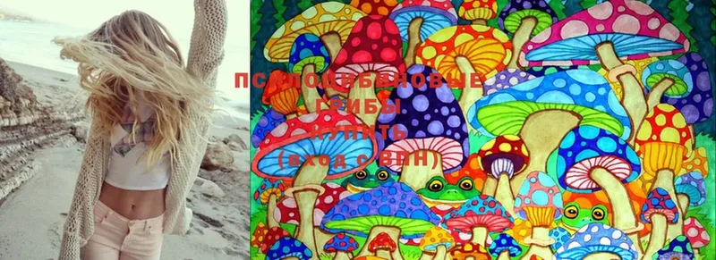 купить наркоту  Артёмовск  Галлюциногенные грибы Psilocybine cubensis 